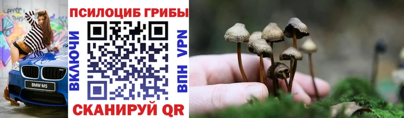 хочу darknet как зайти Галлюциногенные грибы Magic Shrooms Зима